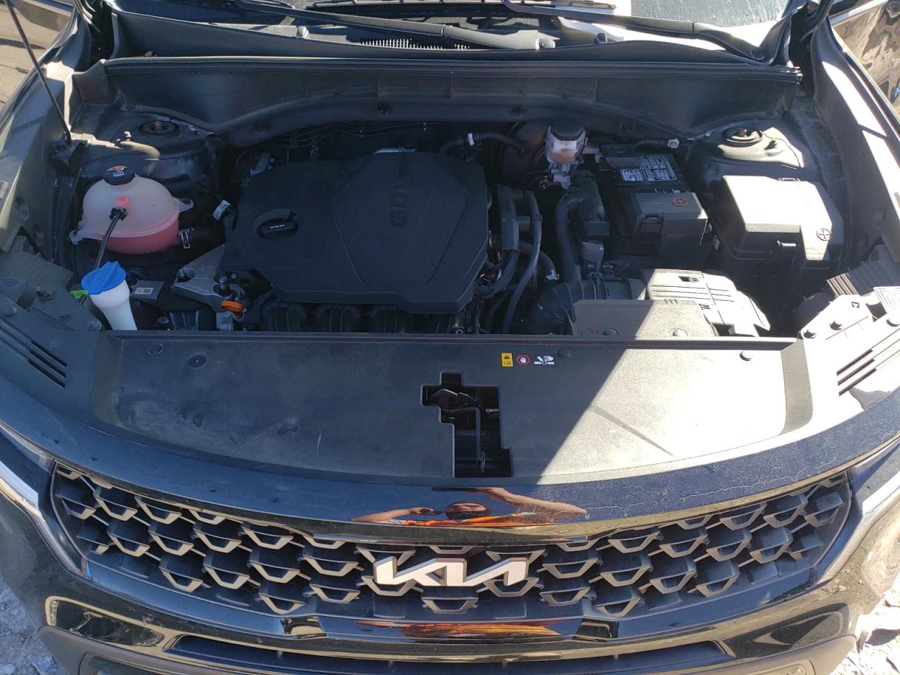 2022 KIA SORENTO S VIN:5XYRLDLCXNG118456