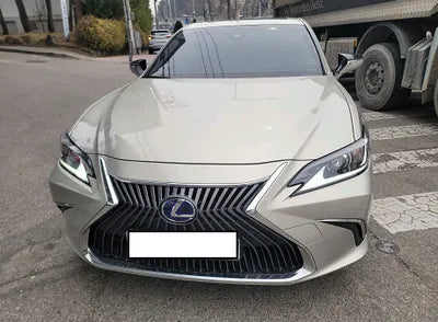 2019 Lexus ES 300 JTHB21B18K2054943 VIN:JTHB21B18K2054943