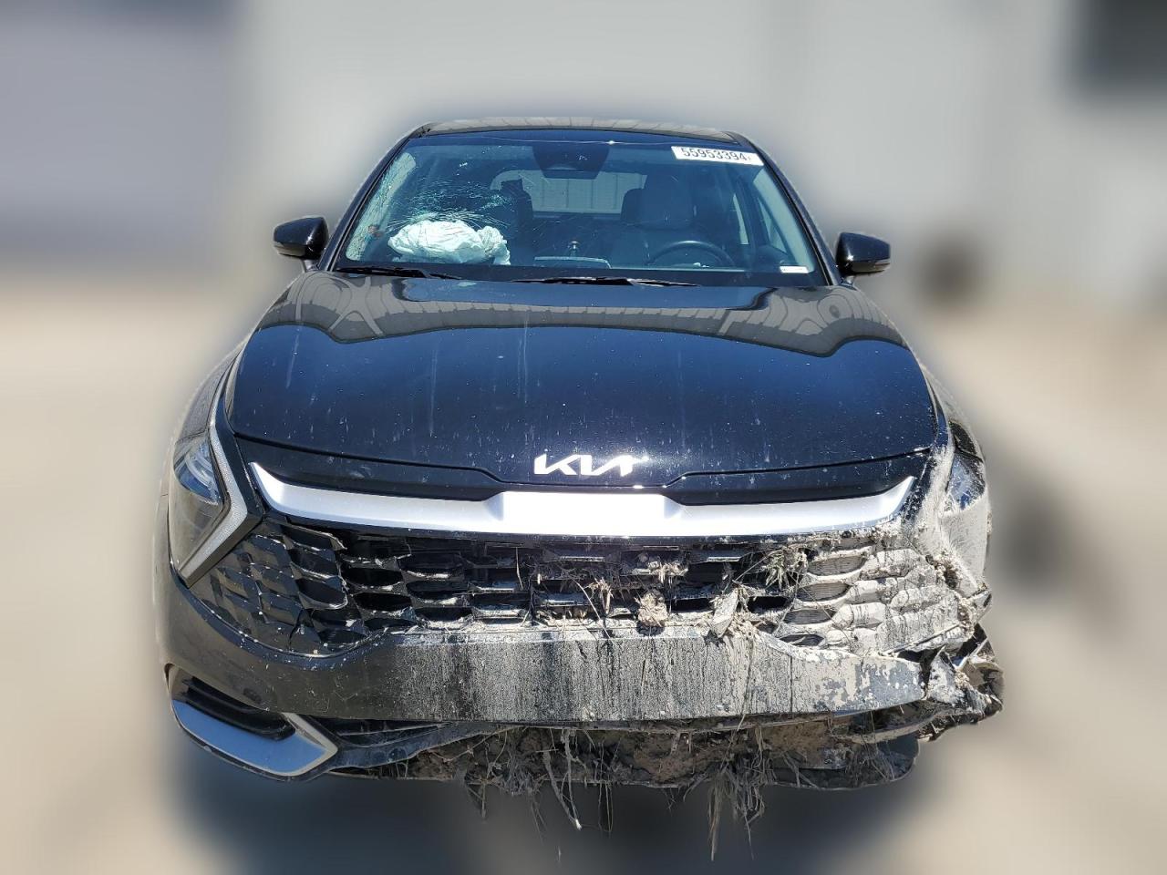 2023 KIA SPORTAGE EX VIN:5XYK33AF5PG131224