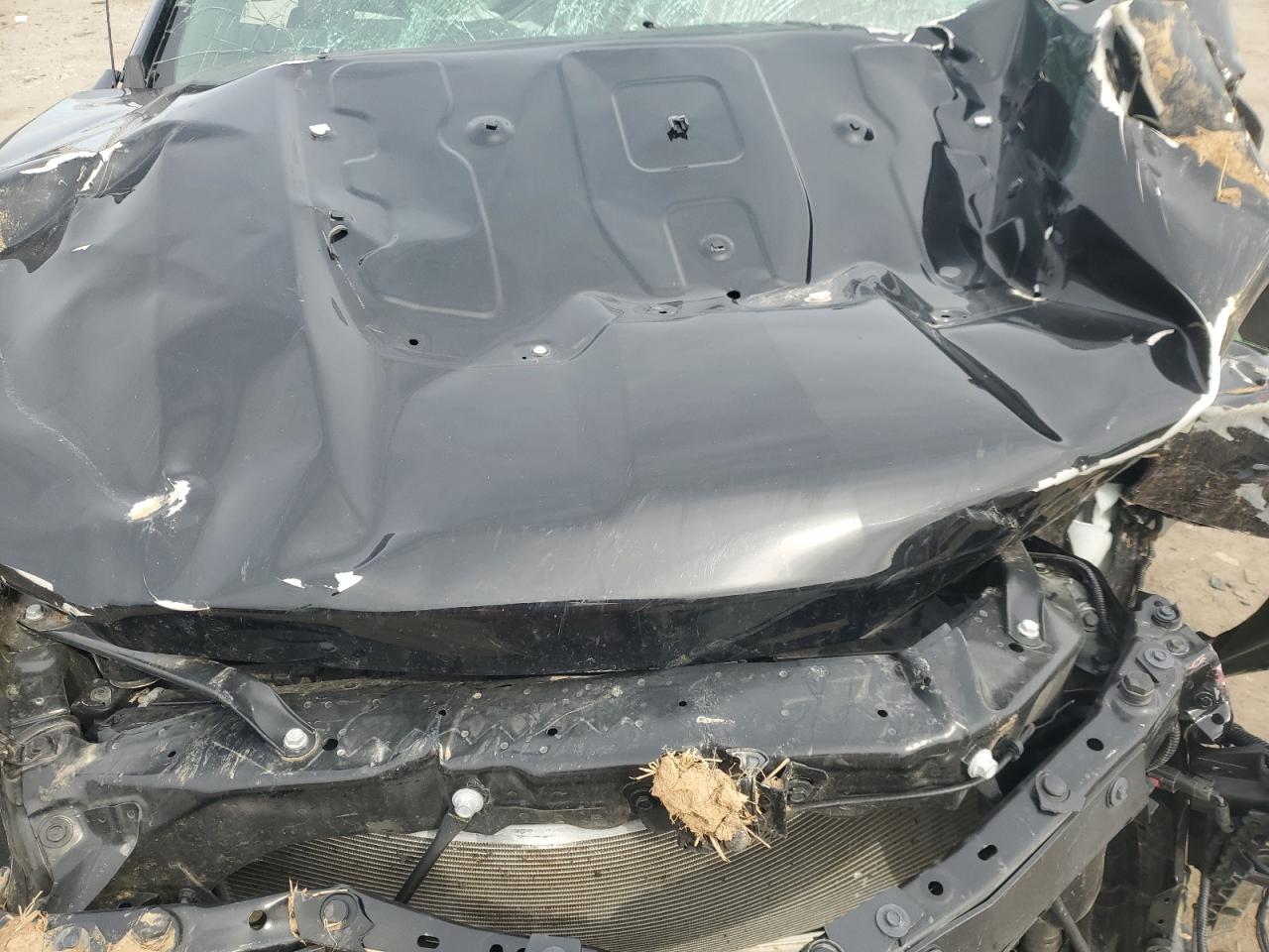 2023 CHEVROLET SILVERADO K1500 TRAIL BOSS CUSTOM VIN:3GCPDCEK0PG239391