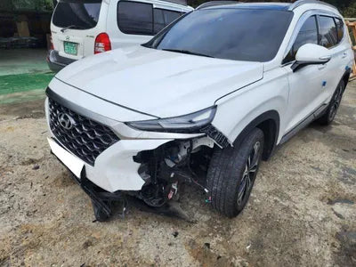 2019 Hyundai Santa FE KMHS381BBKU168509 VIN:KMHS381BBKU168509