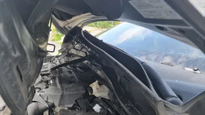 2019 Kia Carnival VIN: