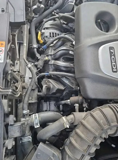 2019 Hyundai Kona KMHK4815GKU412636 VIN:KMHK4815GKU412636