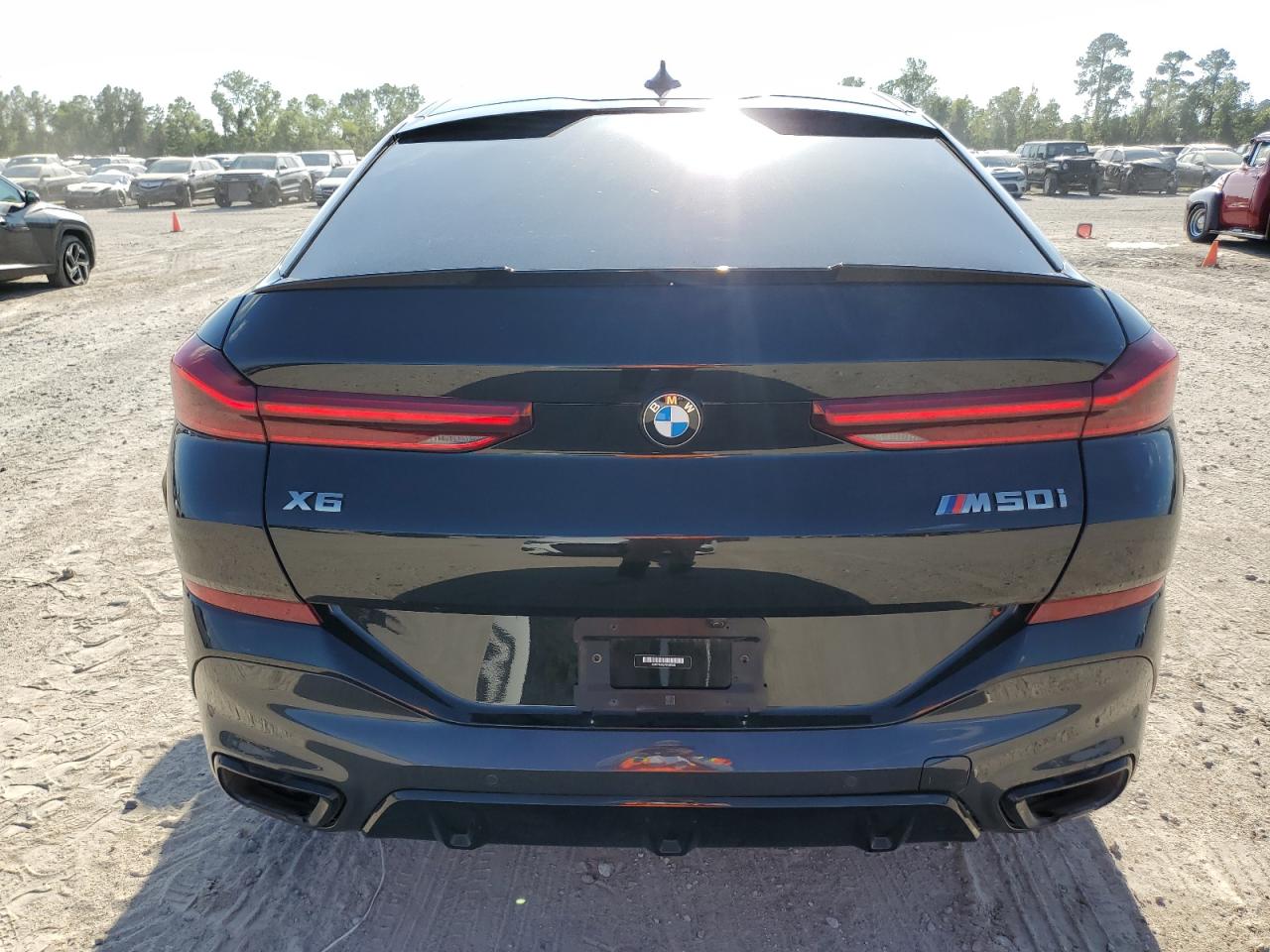 2023 BMW X6 M50I VIN:5UXCY8C02P9N58629