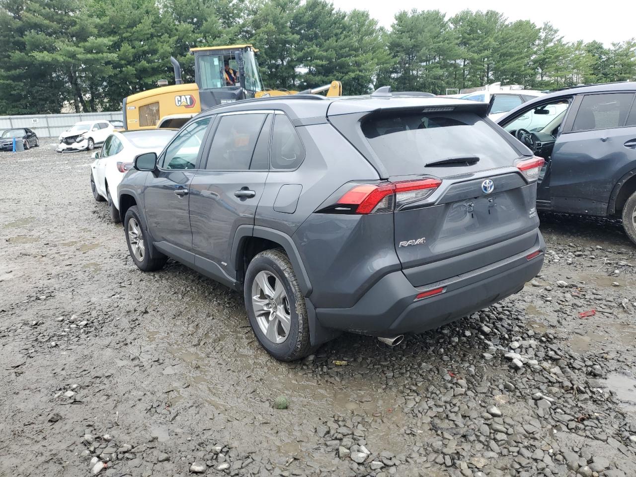 2024 TOYOTA RAV4 XLE VIN:2T3RWRFV6RW205442