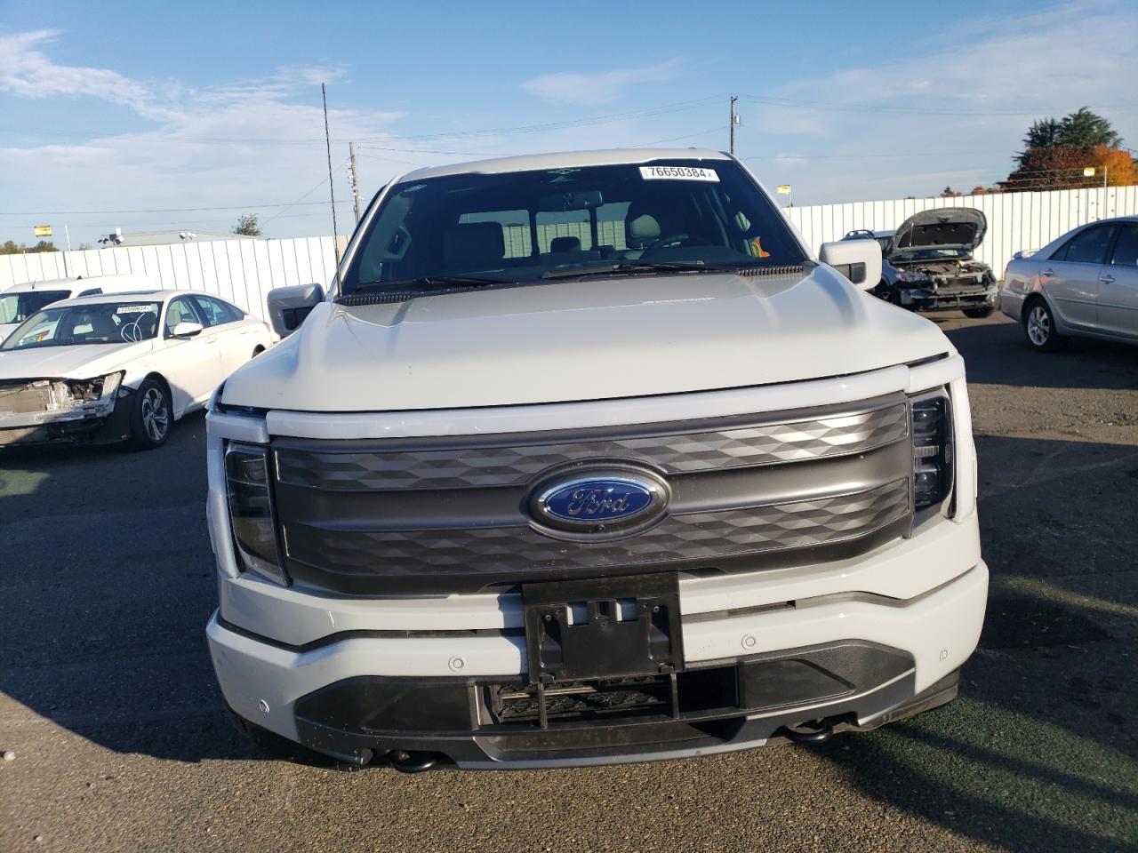 2023 FORD F150 LIGHTNING PRO VIN:1FTVW1EV5PWG53400