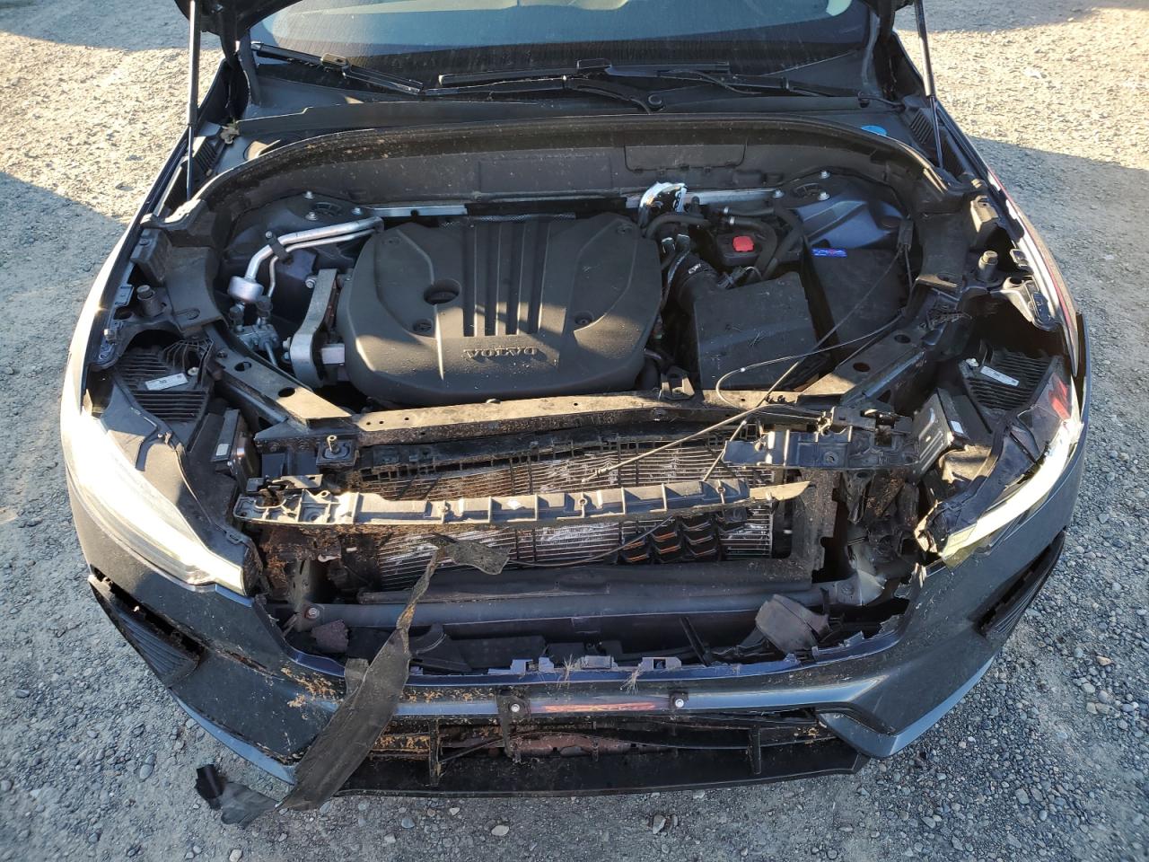 2023 VOLVO XC60 PLUS VIN:YV4L12RL3P1321101