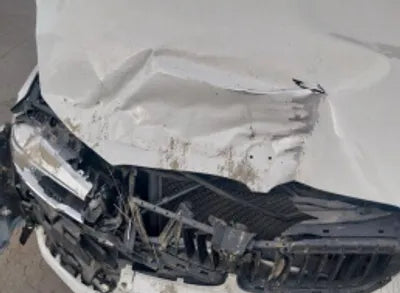 2020 BMW 520 WBAJF3109LWW54738 VIN:WBAJF3109LWW54738