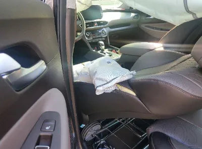 2019 Hyundai Santa FE KMHS381BBKU021969 VIN:KMHS381BBKU021969