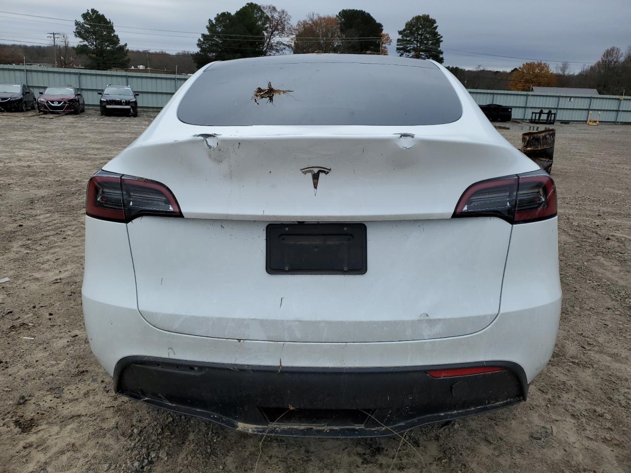 2023 TESLA MODEL Y  VIN:7SAYGDEE2PF784965