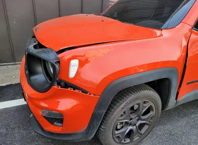 2021 Jeep Renegade 1C4NJDDB6MPN00795 VIN:1C4NJDDB6MPN00795