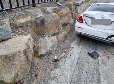 2019 Mercedes-Benz E 220 VIN: