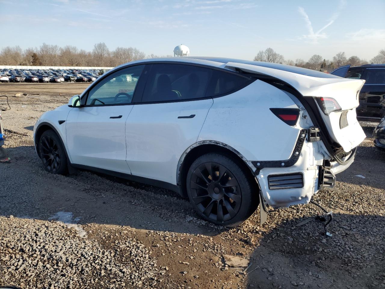 2023 TESLA MODEL Y  VIN:7SAYGDEE3PF673843
