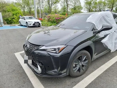 2020 Lexus UX 250 JTHP6JBH2L2072895 VIN:JTHP6JBH2L2072895