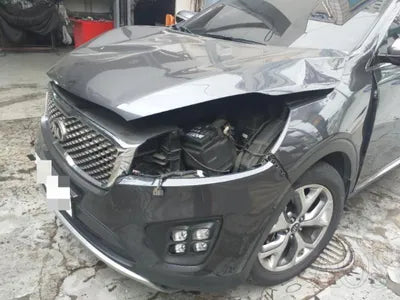 2016 Kia Sorento KNAPS81ABGA263192 VIN:KNAPS81ABGA263192