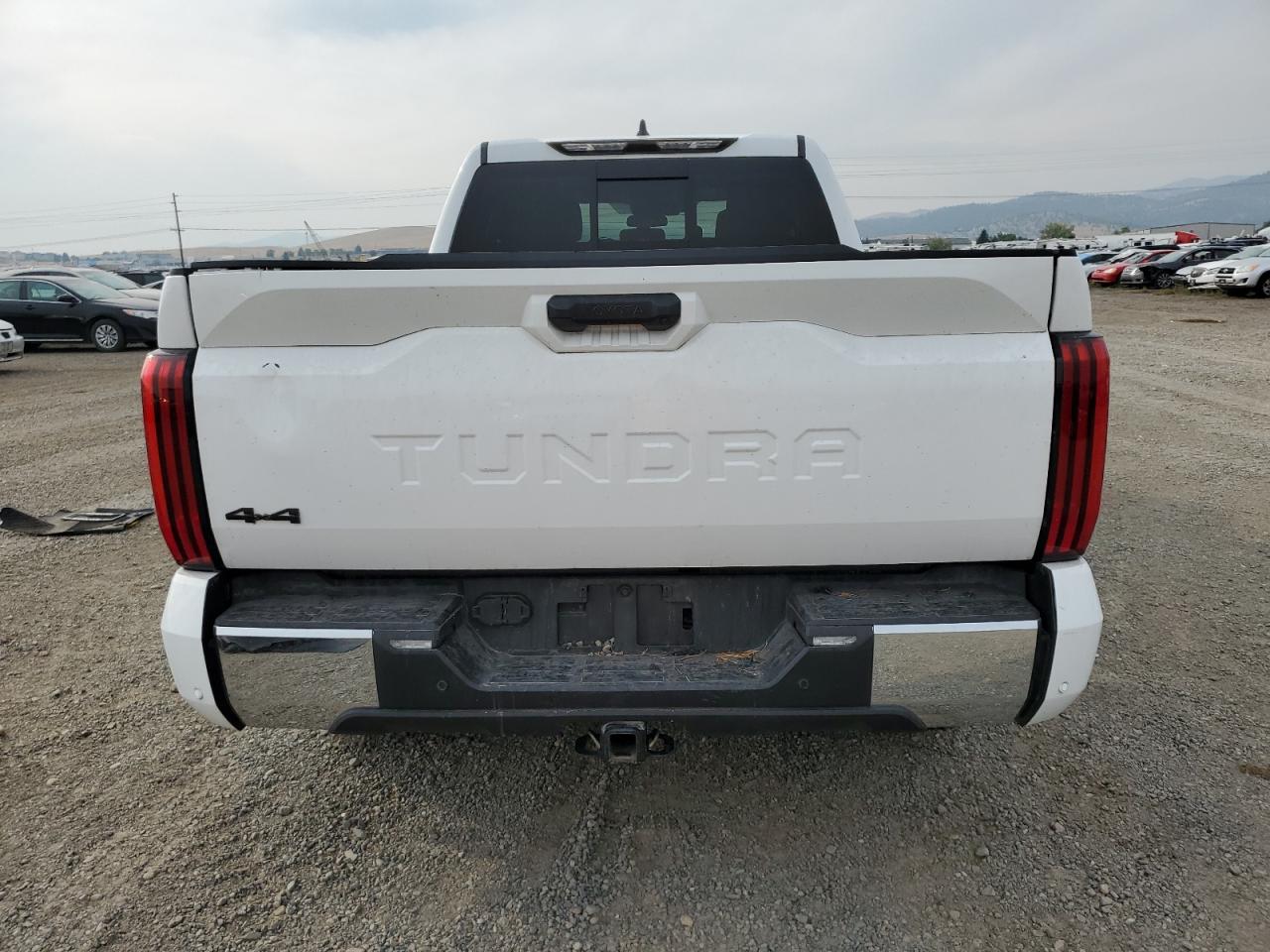 2022 TOYOTA TUNDRA DOUBLE CAB SR VIN:5TFLA5DA5NX013349