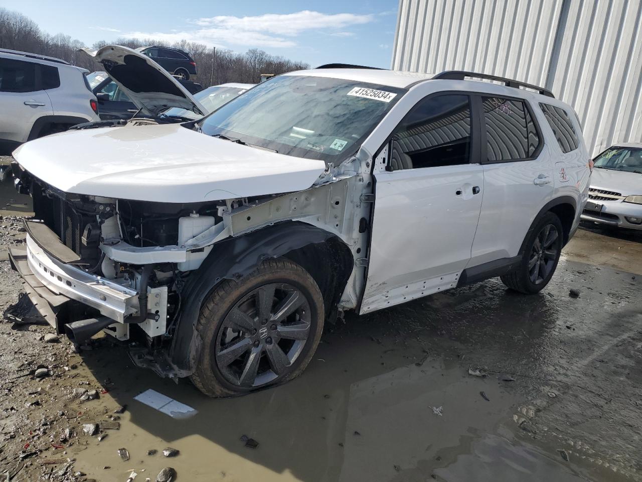 2023 HONDA PILOT SPORT VIN:5FNYG1H39PB022304