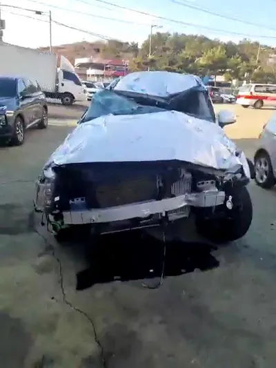 2020 Hyundai Santa FE KMHS381HHMU353108 VIN:KMHS381HHMU353108