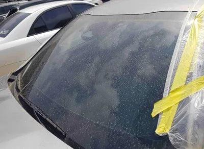 2020 Kia K5 KNAG241BBLA021569 VIN:KNAG241BBLA021569