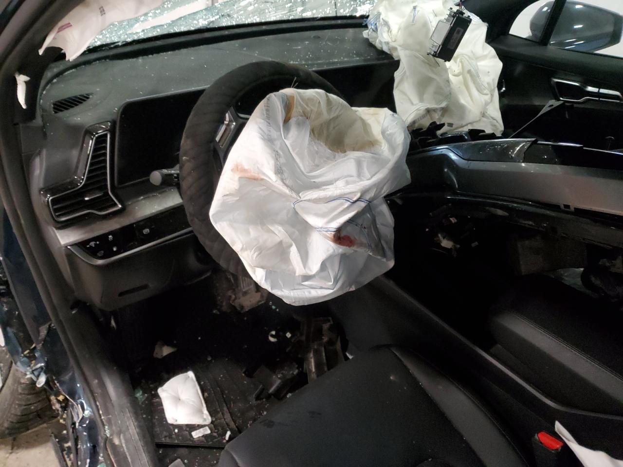 2024 KIA SPORTAGE X LINE VIN:KNDPYDDHXR7153892