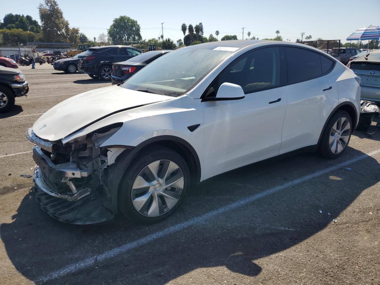 2023 TESLA MODEL Y  VIN:7SAYGDEE7PF971148