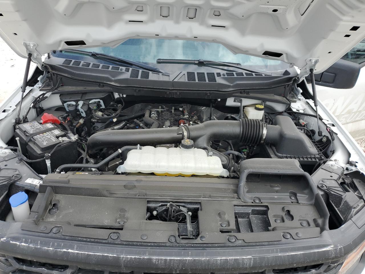 2024 FORD F150 XL VIN:1FTFW1L81RKF16529