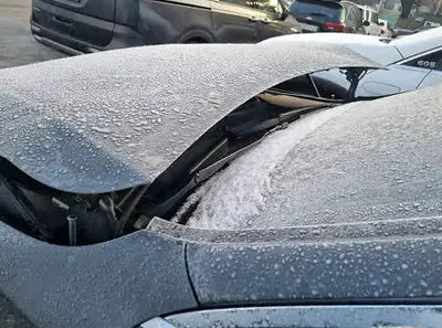 2019 Mercedes-Benz E 300 WDDZF4JB0KA567051 VIN:WDDZF4JB0KA567051