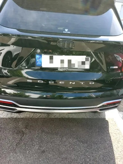 2020 Kia Sorento KNARH81GBMA013803 VIN:KNARH81GBMA013803