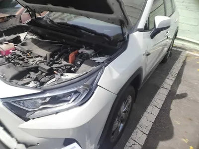 2019 Toyota RAV4 VIN: