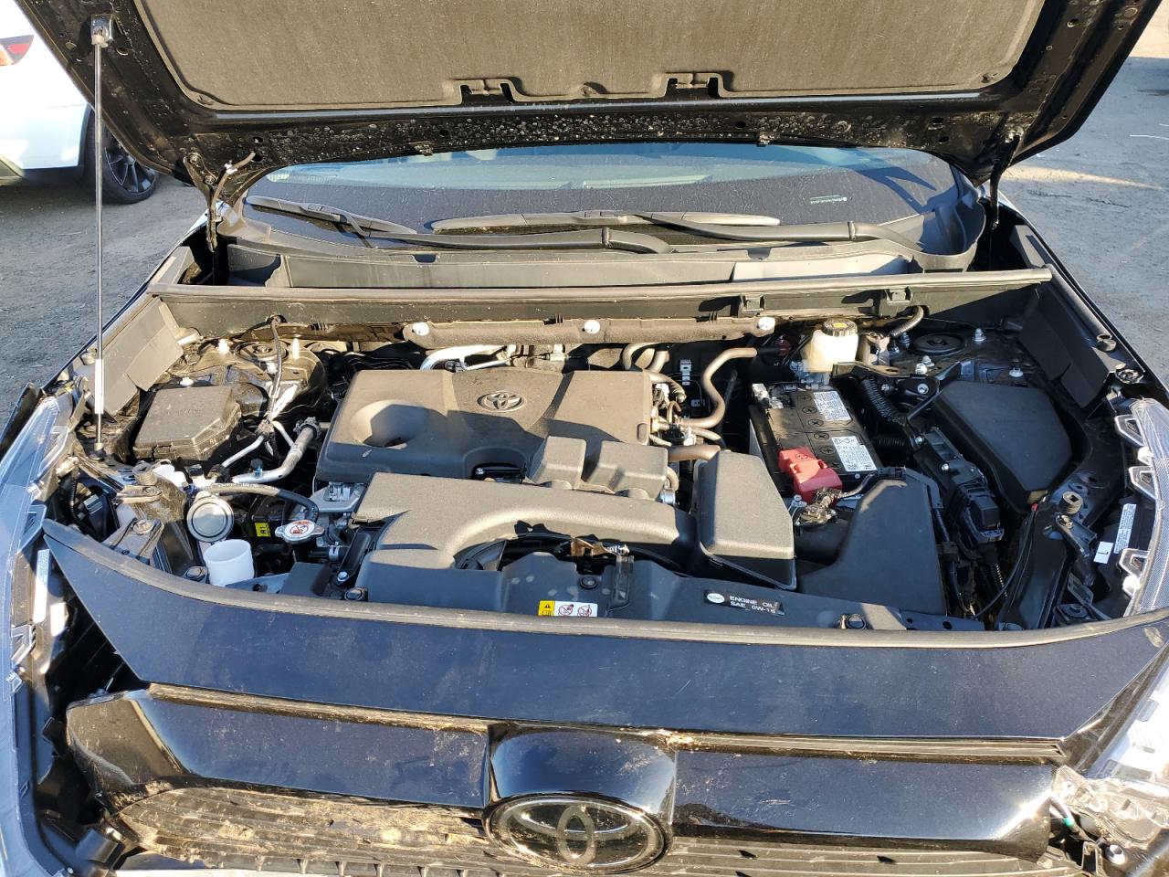 2024 TOYOTA RAV4 XLE VIN:2T3P1RFV5RC459988