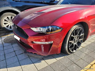 2019 Ford Mustang 1FATP8UH3K5196891 VIN:1FATP8UH3K5196891