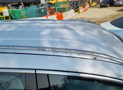 2021 Kia Sorento KNARL81BGMA056006 VIN:KNARL81BGMA056006