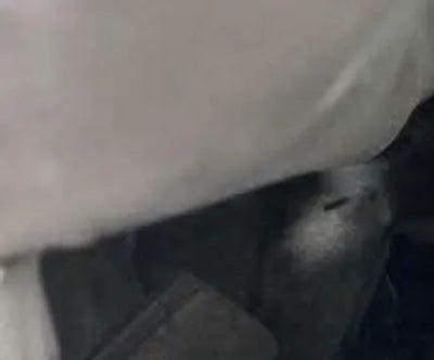 2017 Hyundai Ioniq KMHC851CGHU039435 VIN:KMHC851CGHU039435