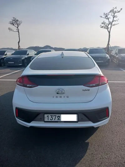 2020 Hyundai Ioniq KMHC751CGLU208329 VIN:KMHC751CGLU208329
