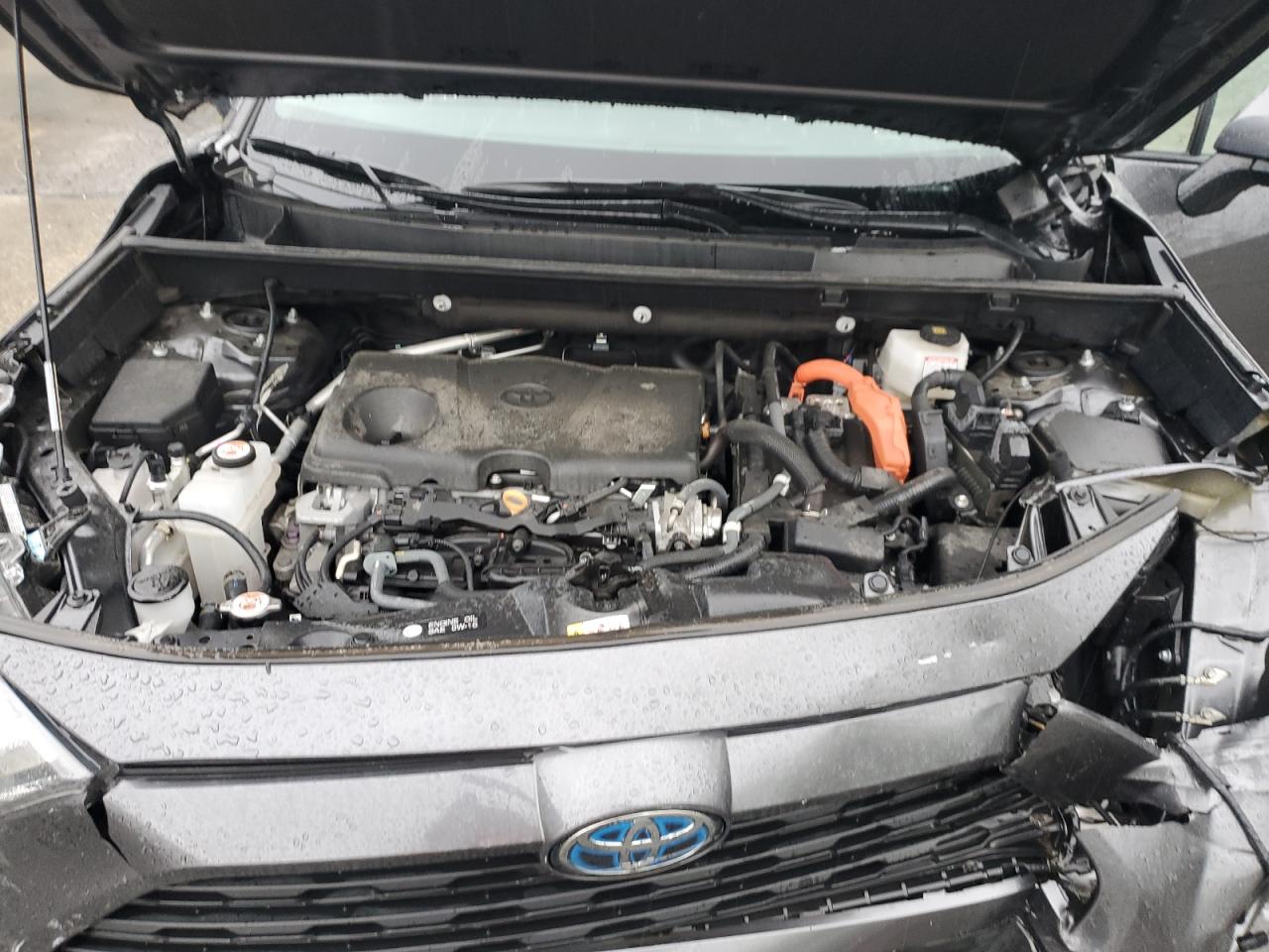 2022 TOYOTA RAV4 XLE VIN:4T3RWRFV7NU059885