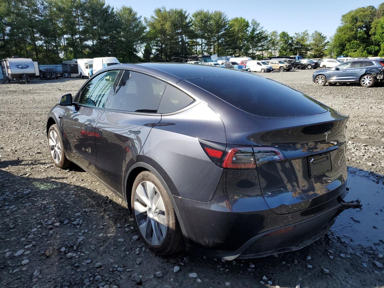 2024 TESLA MODEL Y  VIN:7SAYGDEE2RA283588