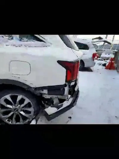 2020 Kia Sorento KNARL81BGMA067027 VIN:KNARL81BGMA067027
