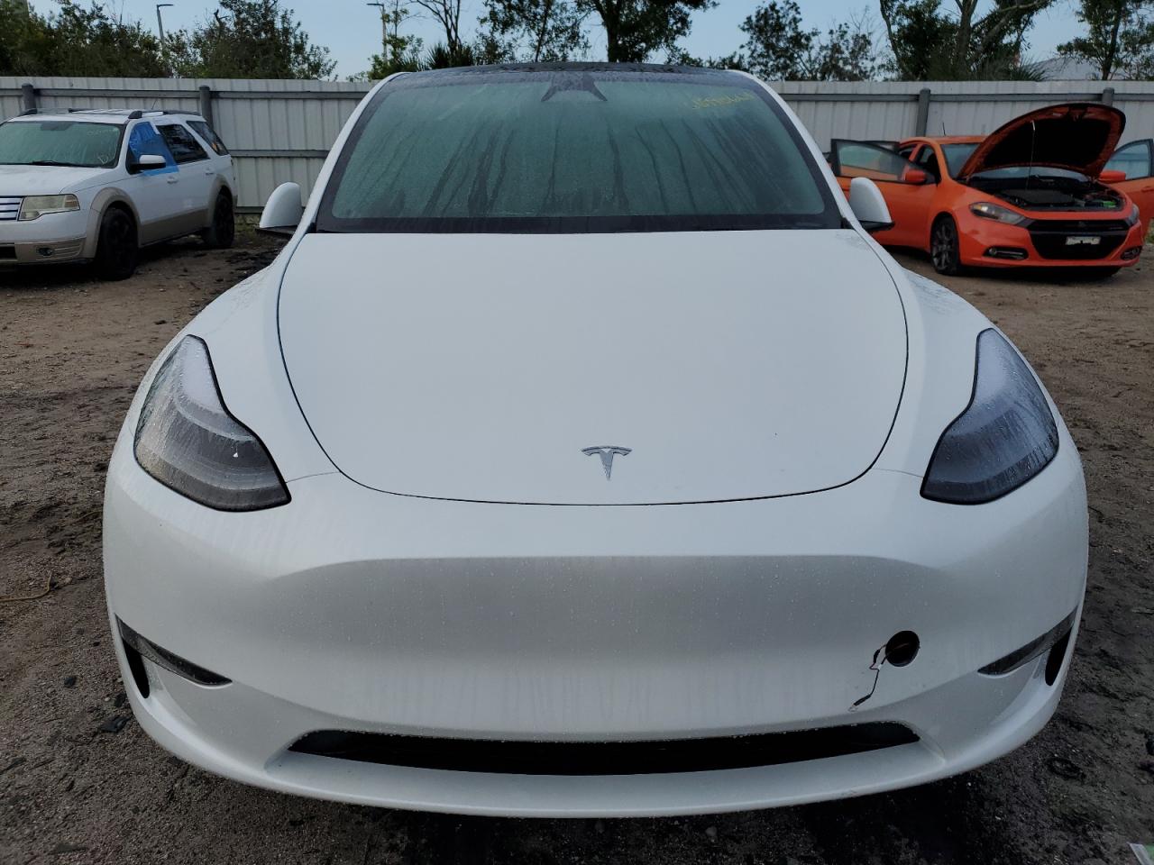 2024 TESLA MODEL Y  VIN:7SAYGDEDXRF129365