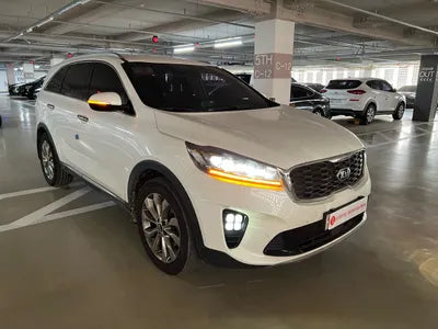2020 Kia Sorento KNAPS81ABLA612510 VIN:KNAPS81ABLA612510