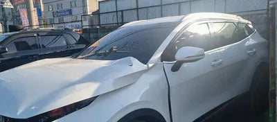 2022 Kia Sportage KNAPV81GBNK018302 VIN:KNAPV81GBNK018302