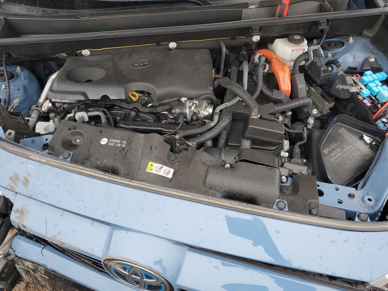 2023 TOYOTA RAV4 SE VIN:JTM16RFV4PD084840