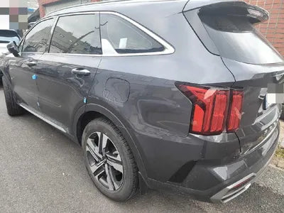 2021 Kia Sorento KNARK81GBMA049343 VIN:KNARK81GBMA049343