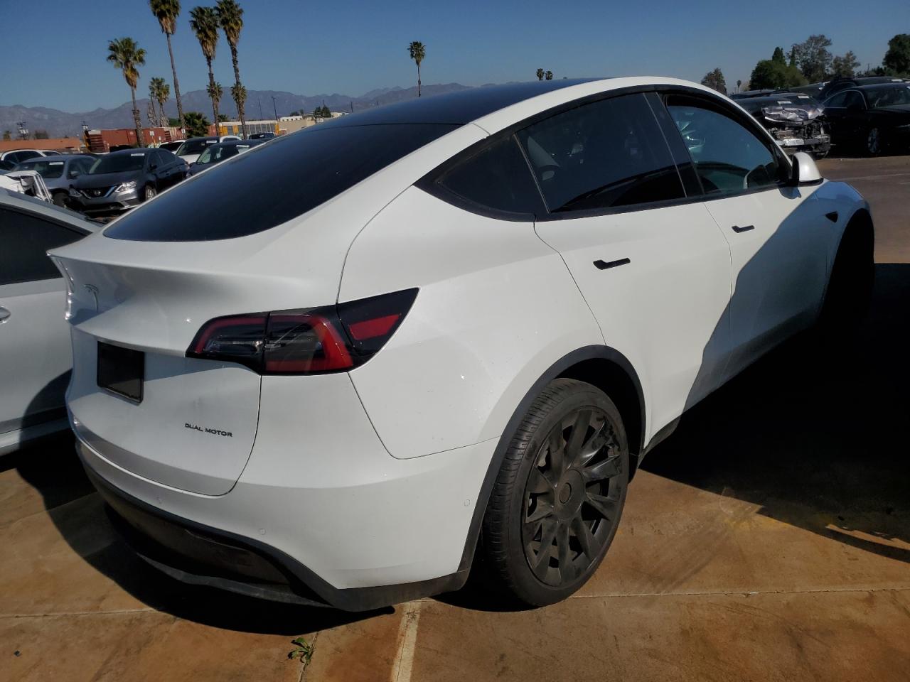 2022 TESLA MODEL Y  VIN:7SAYGAEE6NF554003