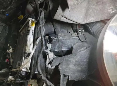 2021 Audi 50 WAUZZZF19MD001662 VIN:WAUZZZF19MD001662