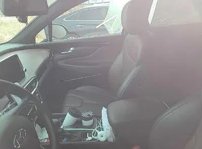 2019 Hyundai Santa FE KMHS581CBKU150918 VIN:KMHS581CBKU150918