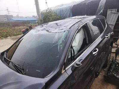 2020 Hyundai Santa FE KMHS281BBLU199802 VIN:KMHS281BBLU199802