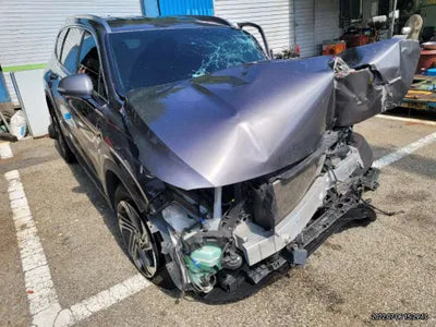 2021 Hyundai Santa FE KMHS381HHMU343576 VIN:KMHS381HHMU343576