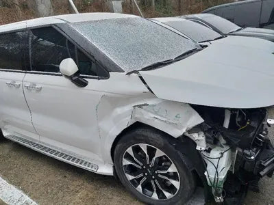 2023 Kia Carnival KNANE81BBPS220161 VIN:KNANE81BBPS220161