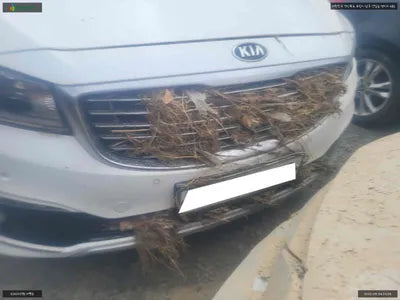 2015 Kia Carnival KNAMB81ABGS098504 VIN:KNAMB81ABGS098504