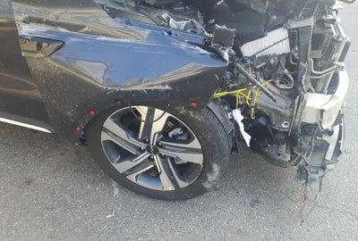 2023 Kia Sorento KNARL81GBPA208641 VIN:KNARL81GBPA208641